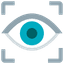 Vision and QA